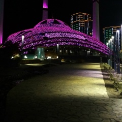 Хизар Аргунский, 29.06, Казань