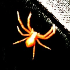 Ярослав Бабичев, 03.09, Москва