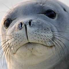 Александр Махин, 17.12.1974, Wrocław