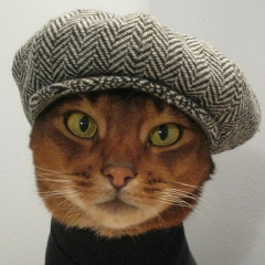 Алексей Артёмов, 20.11.1989