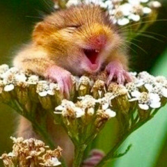 Светлана Баранова, 16.12, Санкт-Петербург