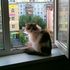 Суламита Суламита, 17.06, Новосибирск