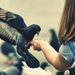 Рияз Кадыров, 15.05.1990, Альметьевск