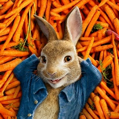 Максим Заец, 05.11.1989, Санкт-Петербург