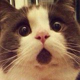 Galina Damdinova, 21.07, New Taipei