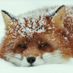 Мария Сербина, 02.04.1989, Москва