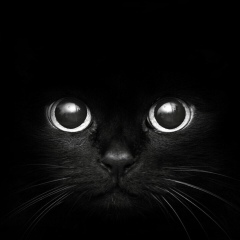 Светлана Тут, 04.06.1987, Москва