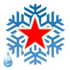 Алексей Ларичкин, Москва