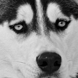 Артур Тюбеев, 08.02.1996