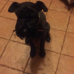 Руслан Светличный, 29.03, Санкт-Петербург