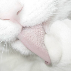 Денис Соловьёв, 03.05