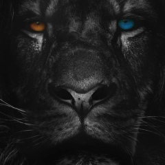 Айбек Султанов, 30.03.2003, Астана