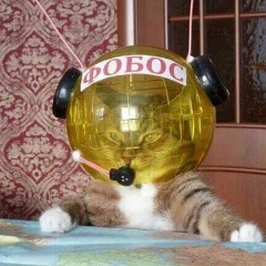 Евгений Довгань, 28.03.1989, Кишинев