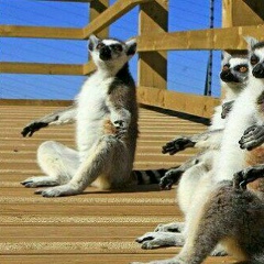 Данила Шевченко