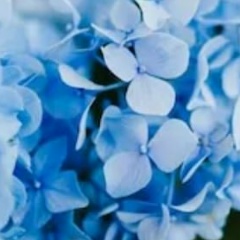 Елена Александровна, 03.03, Архангельск