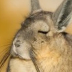 Александр Головнев, 25.03.1988, Барнаул