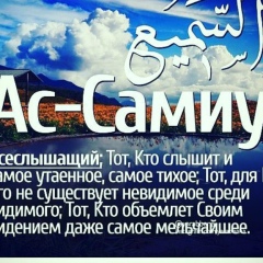 Ykub Talhigov, Шали