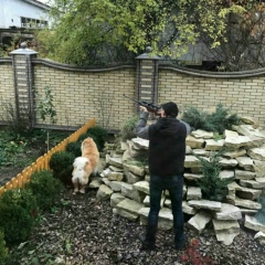 Назар Граф, 01.01, Ивано-Франковск