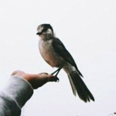 Hanika Magomedova, 09.10.1993