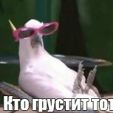 Даниил Мельник, Сочи
