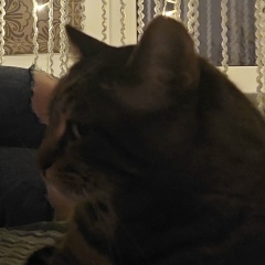 Лусине Мартиросян, 19.04