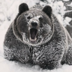 Михаил Кравцов, 12.12, Жирновск