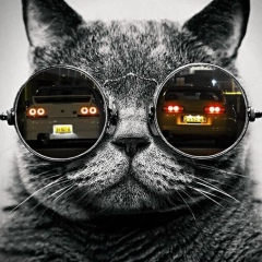 Руслан Богуш, 01.01