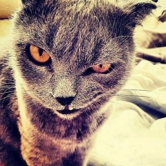 Руслан Гатиятуллин, 13.11, Уфа