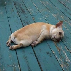 Yulia Sergeevna, 17.06, Москва