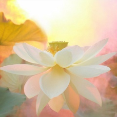 Асхат Ахметбеков, Астана