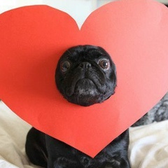 Маргариточка Семилетова, 20.12, San Francisco