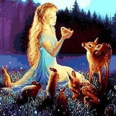 Diana Diana, 22.01, Львов