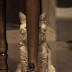 Алексей Лазарев, 01.10.1987