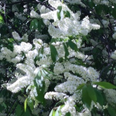 Татьяна Суровова, 20.05, Москва