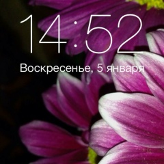 Светлана Нелюбина