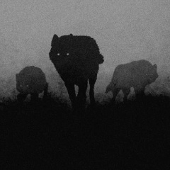 Тамерлан Гелаев, 06.03, Tabuk