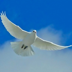 Нина Гасанова, 20.09, Киев