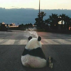 Азамат Газиев, 29.08