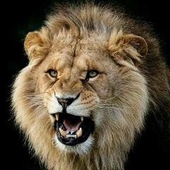 Madik Kudaibergenov, 06.11