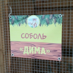 Дмитрий Соболь, 21.06, Санкт-Петербург