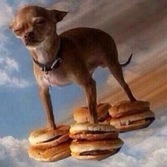 Саша Фролов, 10.05.1988, Москва