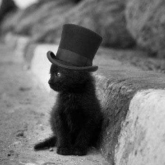 Дмитрий Борунов, 13.11.1987, Санкт-Петербург