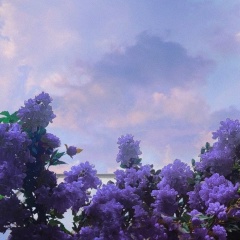 Екатерина Котлова, 25.01.1999, Новосибирск