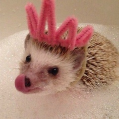 Наталия Терешко, 15.04, Киев