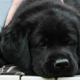 Ерлан Кумискалиев, 12.04.1971, Атырау