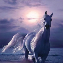 Жайна Шамполова, 18.08.1987, Актау