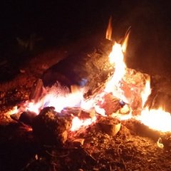 Николай Юрьевич Баринов, 12.04.1985, Лысьва (поселок)