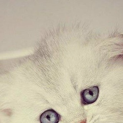 Александра Волкова, 13.06.1999