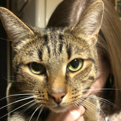 Варвара Серышева, 02.02.1988, Москва