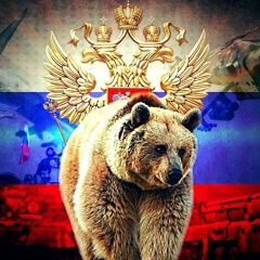 Дмитрий Волков